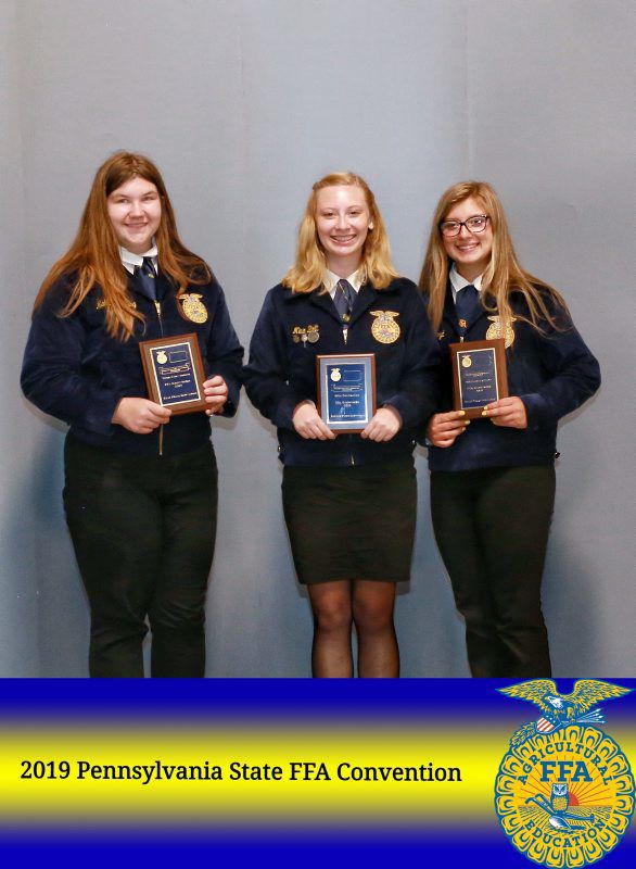 FFA Knowledge Individuals